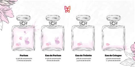 perfumes g5 que significa|clasificacion de los perfumes.